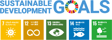 Sustainable Development Goals